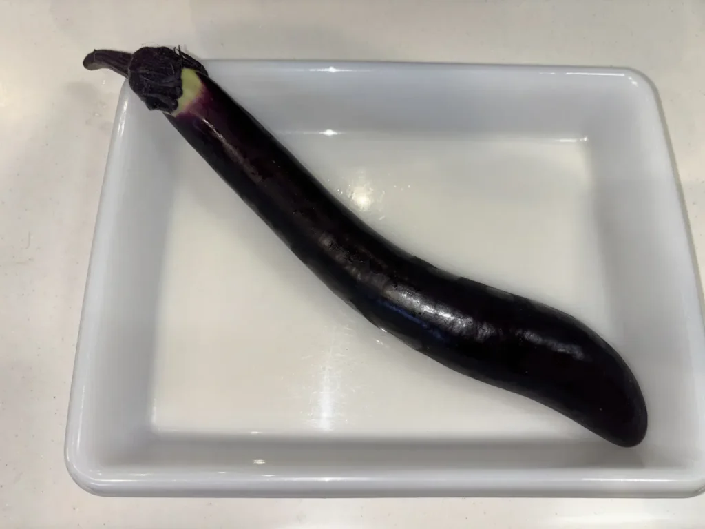 今回使った細長い長なす。1本で200gありました