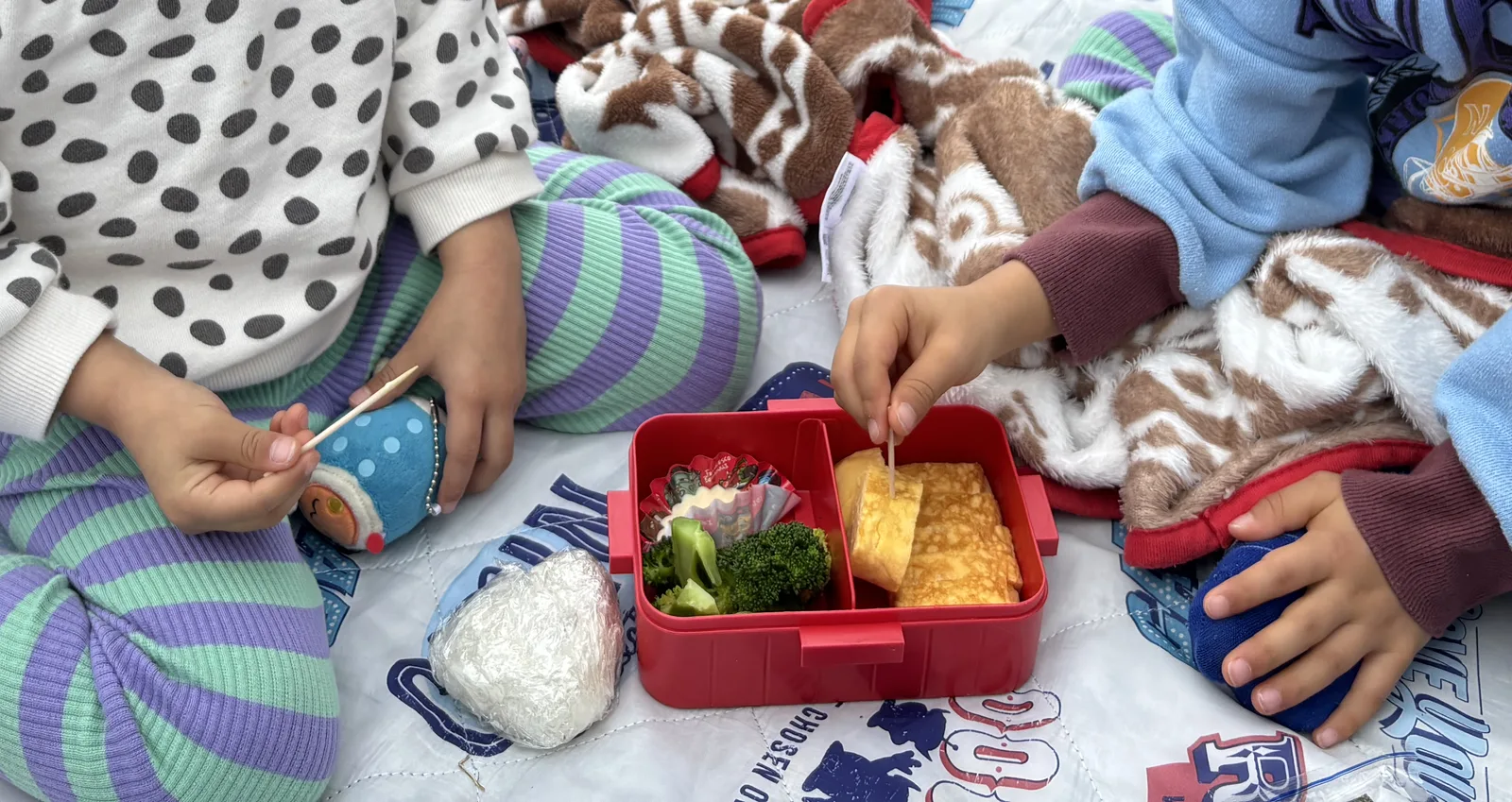 公園でお弁当を食べる子どもたちの手元。おにぎりと卵焼きの入った弁当箱
